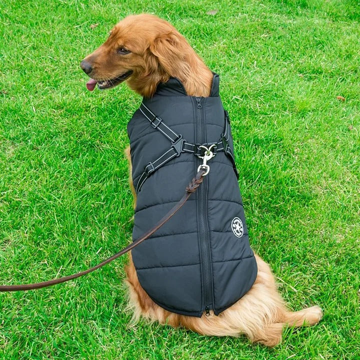Pawcoolers - Waterproof Winter Jacket with Built-in Harness
