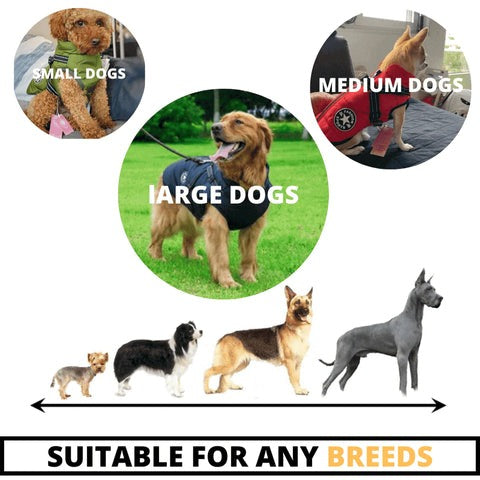 Pawcoolers - Waterproof Winter Jacket with Built-in Harness