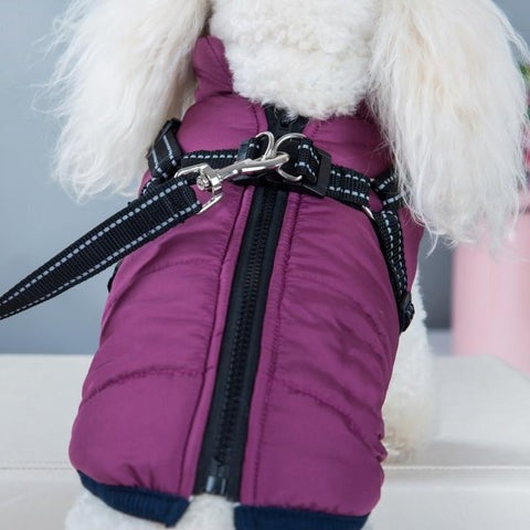 Pawcoolers - Waterproof Winter Jacket with Built-in Harness