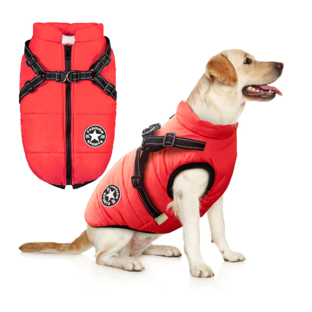 Pawcoolers -  Waterproof Winter Jacket with Built-in Harness