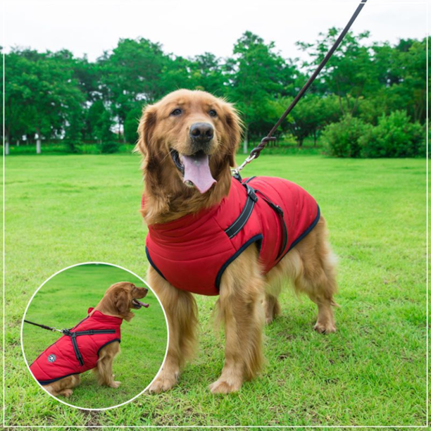 Pawcoolers -  Waterproof Winter Jacket with Built-in Harness