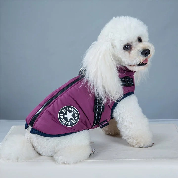 Pawcoolers -  Waterproof Winter Jacket with Built-in Harness