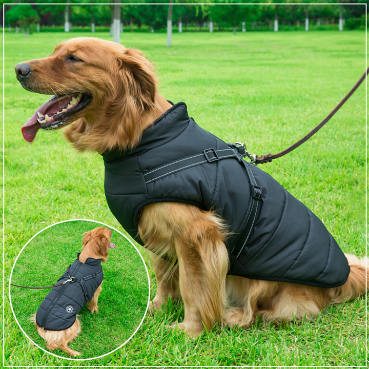 Pawcoolers -  Waterproof Winter Jacket with Built-in Harness