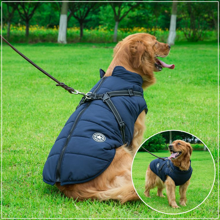 Pawcoolers -  Waterproof Winter Jacket with Built-in Harness
