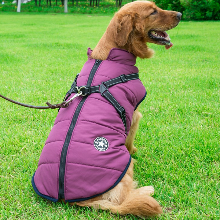 Pawcoolers -  Waterproof Winter Jacket with Built-in Harness